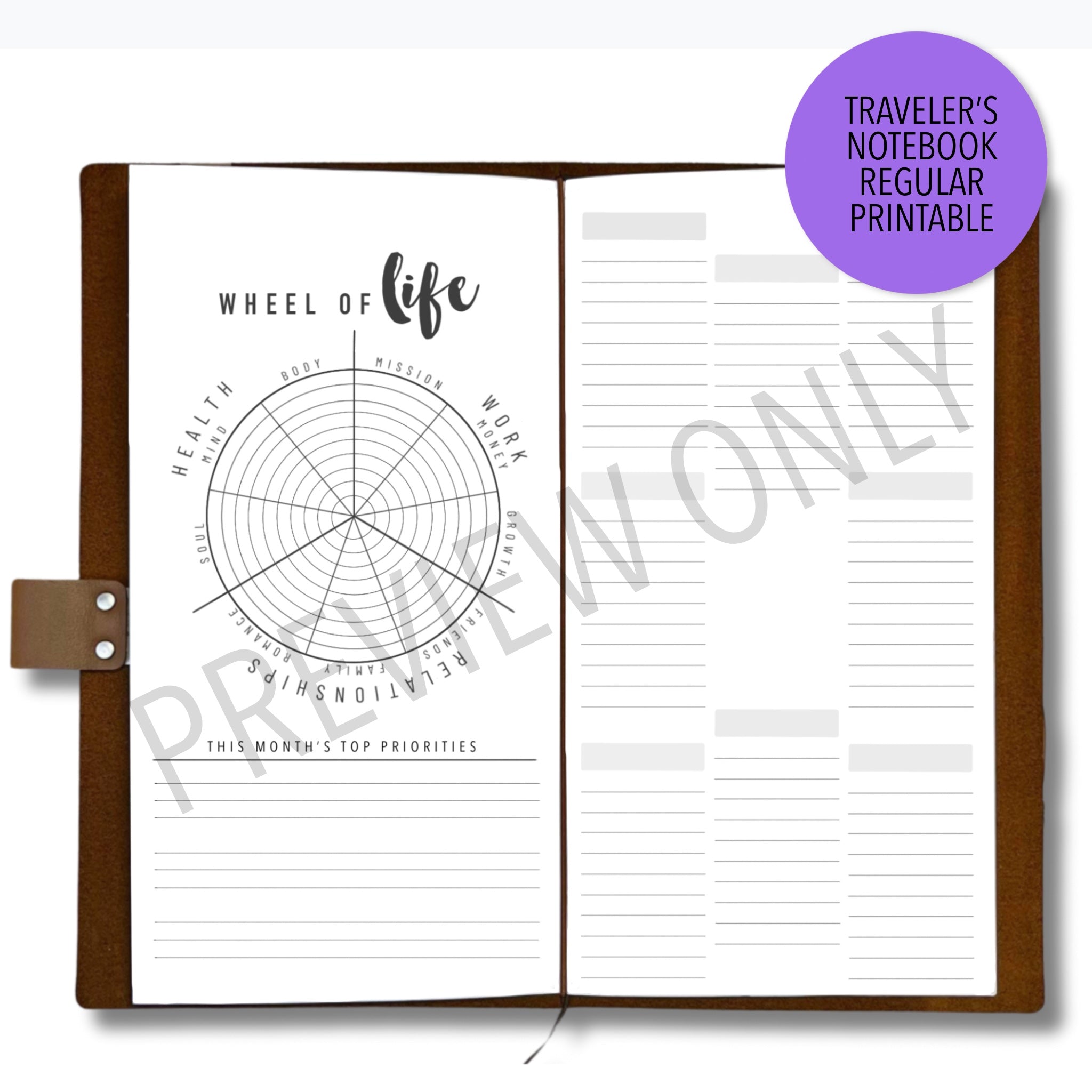 TN Regular Monthly Habit Tracker and Wheel of Life Planner
